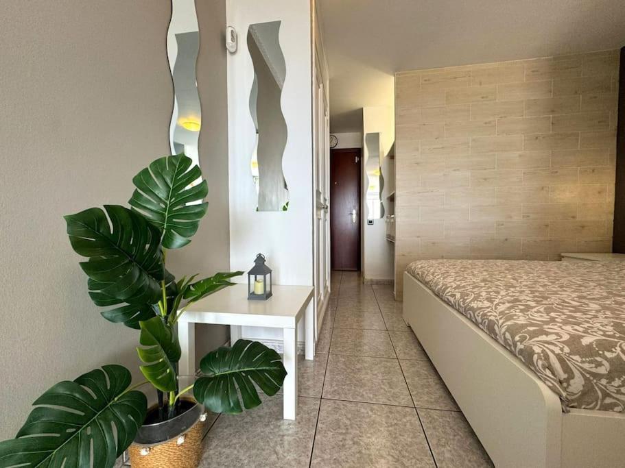 Palm Garden Apartment Morro Jable  Eksteriør bilde