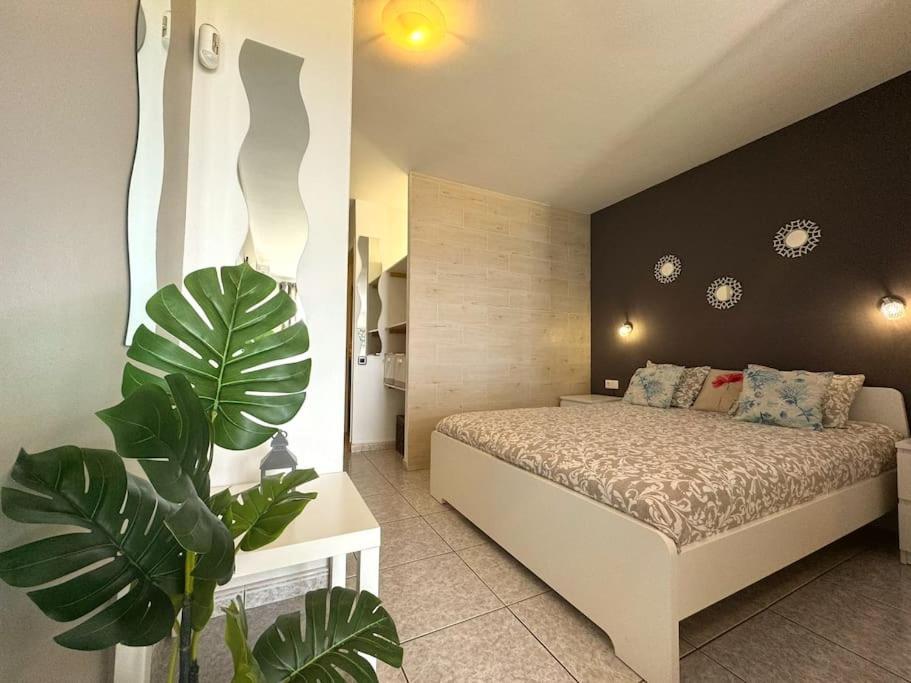 Palm Garden Apartment Morro Jable  Eksteriør bilde